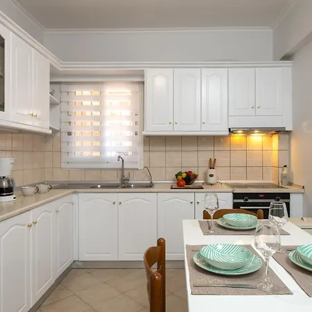 Xenia's In Alepou Apartamento *